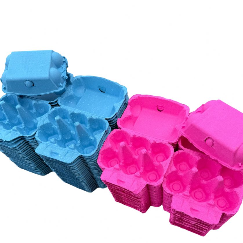 Eggcellent Cartons Premium Pink & Blue colour Egg Boxes