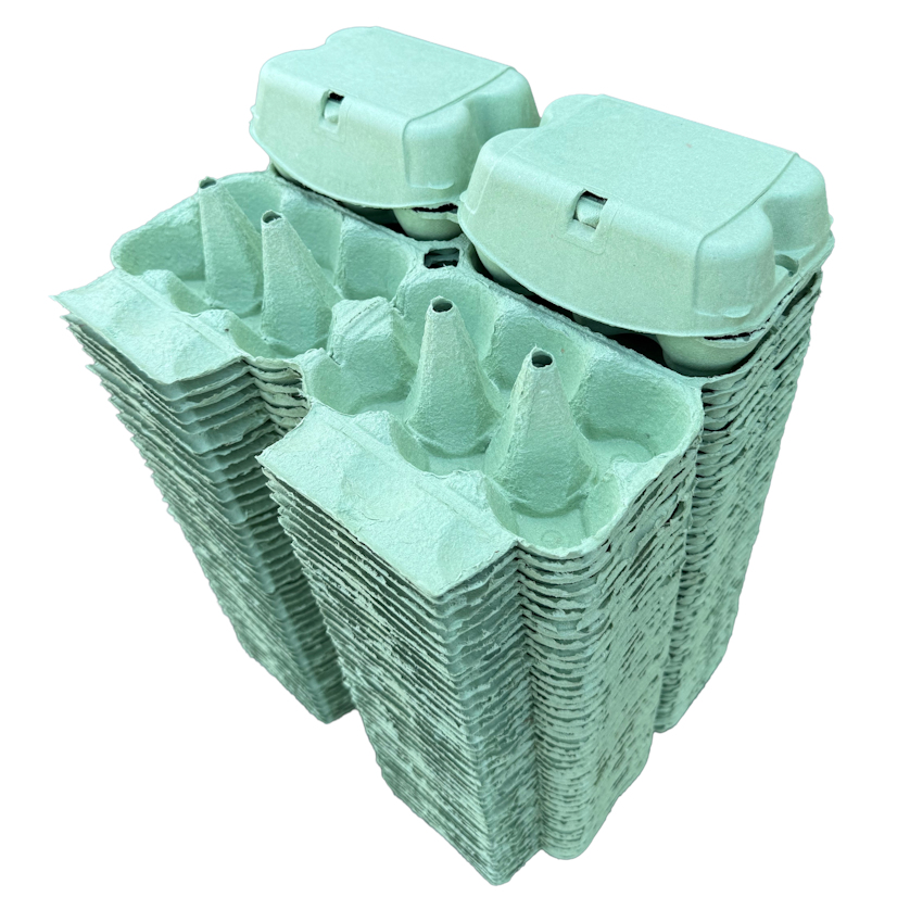 Green Egg Boxes