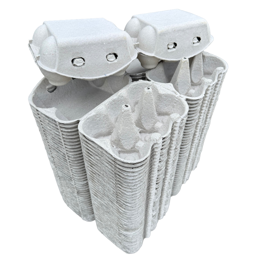 XL/Duck Egg Boxes