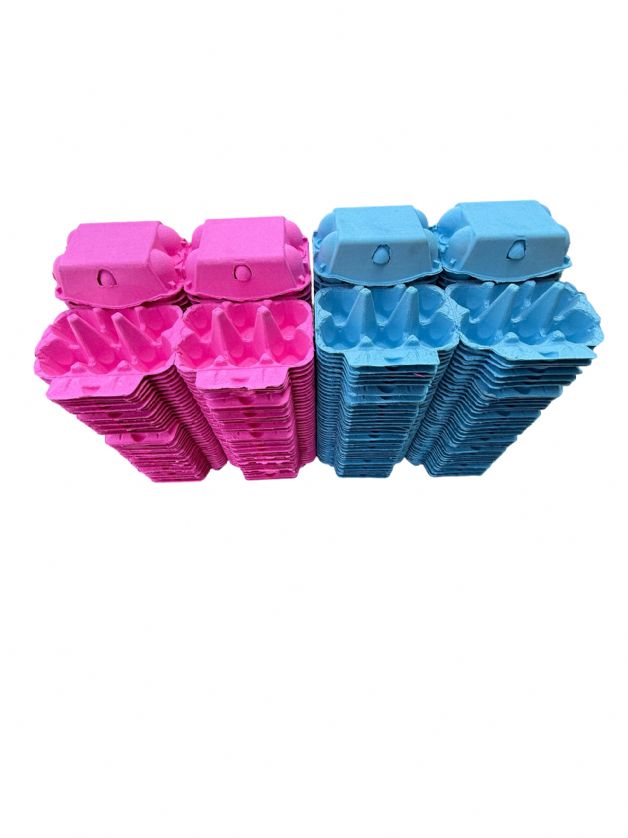 Eggcellent Cartons Premium Pink & Blue Egg Boxes Bulk Buy Pallet